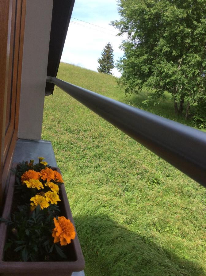 Apartman Odolov Jestrebi Hory Male Svatonovice Kültér fotó